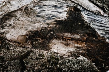 Eski ahşabın kahverengi dokusu