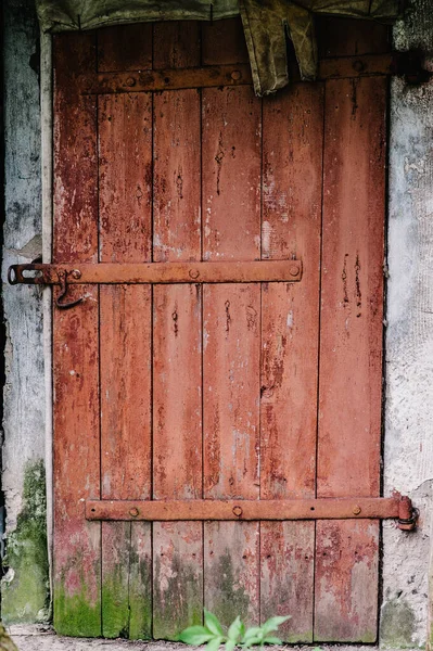 Old wooden door is not closed on the lock. Peeling paint. House. Barn. Doors red. Covered with moss. The door to the hinges.