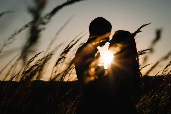 若いカップルが抱き合ってキスをし 秋の日没に公園の屋外で 太陽を背景にした草原で 友好的な家族の概念 上半分だ 閉めろ テキストとデザインの場所 — ストック写真