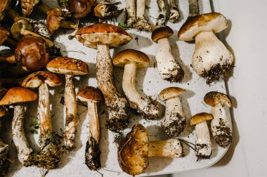 Bir sürü yenilebilir mantar: Beyaz, yosun, evdeki masada şemsiye. Fotokopi alanı olan yenilebilir mantar. Düz yat. en üstteki görünüm.