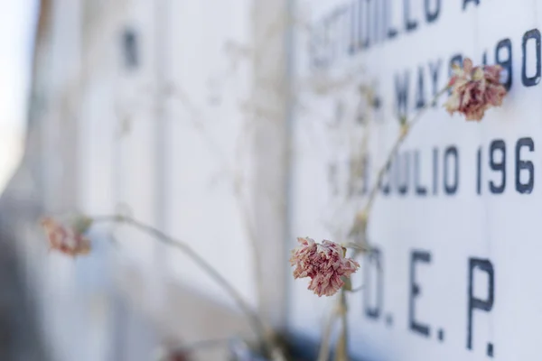 Kyrkogården i Avila, Spanien. — Stockfoto