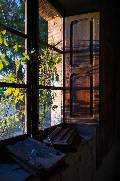 eski ahşap pencere.