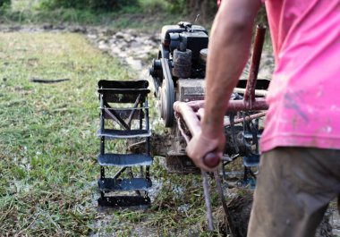 A farmer is running the tractor preparing soil for rice plantation