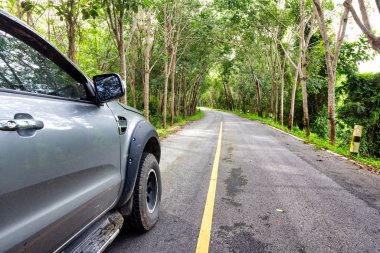 SUV car on road passing forest. Rural road.