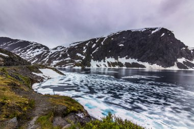 24 Temmuz 2015: Norveç kırsal ne vahşi doğada dondurulmuş