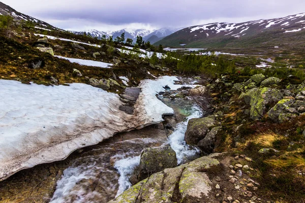 Juli 22, 2015: Stroom van water op de weg naar de Trolltunga, Noorwegen — Stockfoto