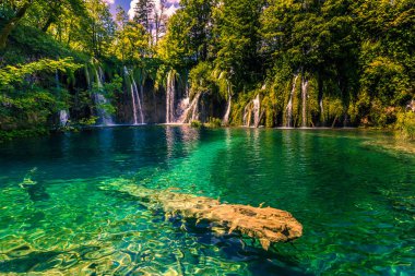 21 Temmuz 2016: Serenity Plitvice Gölleri Milli Parkı, Hırvatistan