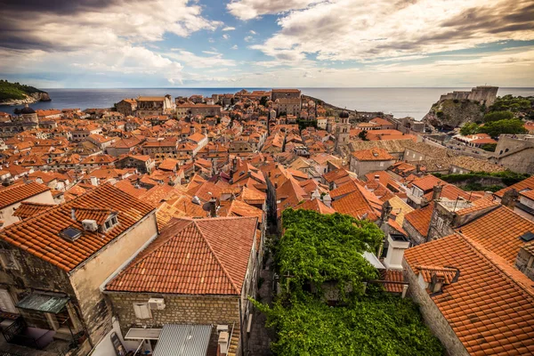 July 16, 2016: Old houses of Dubrovnik — Stock Photo, Image