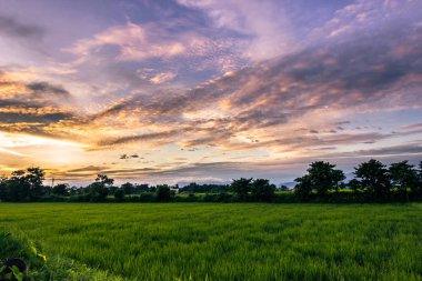 01 Eylül 2014 - gökyüzü Sauraha, Nepal