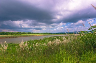 03 Eylül 2014 - Panorama Chitwan Milli Parkı, Nepal