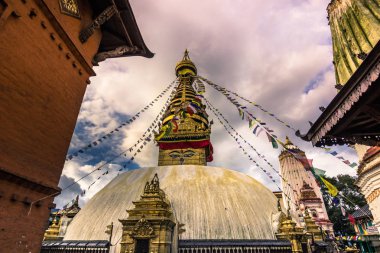 19 Ağustos 2014 - maymun Tapınağı Stupa Katmandu, Nepal