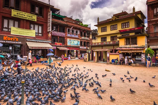 18 de agosto de 2014 - Aves no Boudhanath em Kathmandu, Nepal — Fotografia de Stock