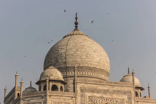 2014 年 11 月 2 日︰ 在印度阿格拉的泰姬陵的屋顶 — 图库照片