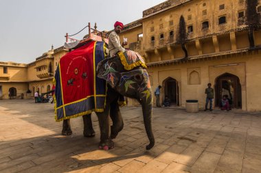 04 Kasım 2014: Fil Amber Sarayı Jaipur, Hindistan