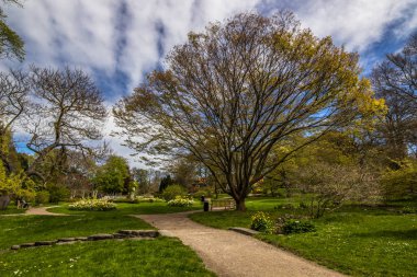 Visby, Gotland - 15 Mayıs 2015: Visby Gotland, botanik bahçeleri