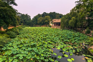 Beijing, Çin - 18 Temmuz 2014: Bahçeler yaz Sarayı