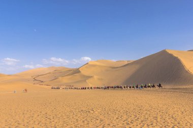 Dunhuang, Çin - 06 Ağustos 2014: Deve biniciler Dunhuang, Çin