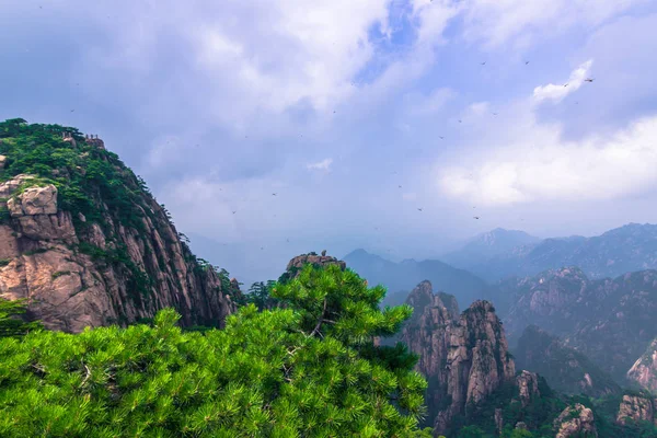 中国敦煌-2014 年 8 月 6 日︰ 月牙湖中的绿洲杜 — 图库照片