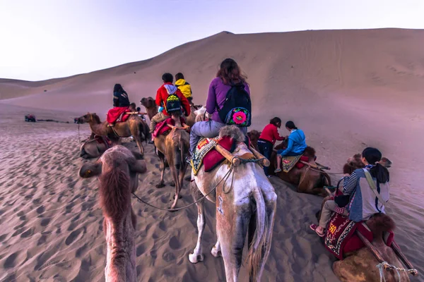 Dunhuang, China - 05 de agosto de 2014: Camellos en el Gobi dese — Foto de Stock