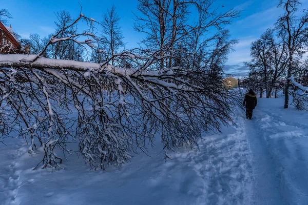 Laponie, Suède - 29 janvier 2014 : Une fille dans la forêt de Kiruna — Photo