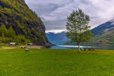 Flam, Norveç - 14 Mayıs 2017: Flam, Norveç'in doğal peyzaj