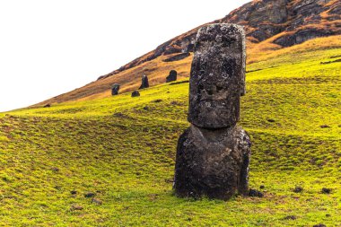 RANU Raraku, Paskalya Adası - 10 Temmuz 2017: Ranu Moai heykelleri