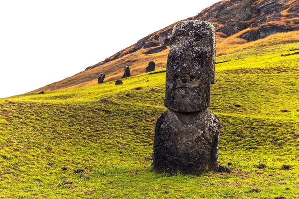 RANU Raraku, Paskalya Adası - 10 Temmuz 2017: Ranu Moai heykelleri