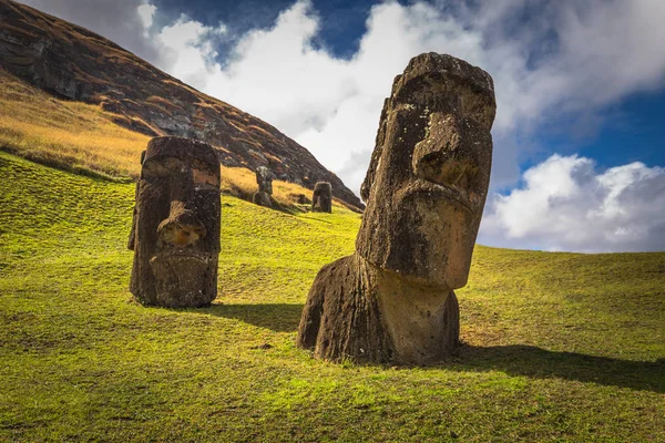 RANU Raraku, Paskalya Adası - 10 Temmuz 2017: Ranu Moai heykelleri