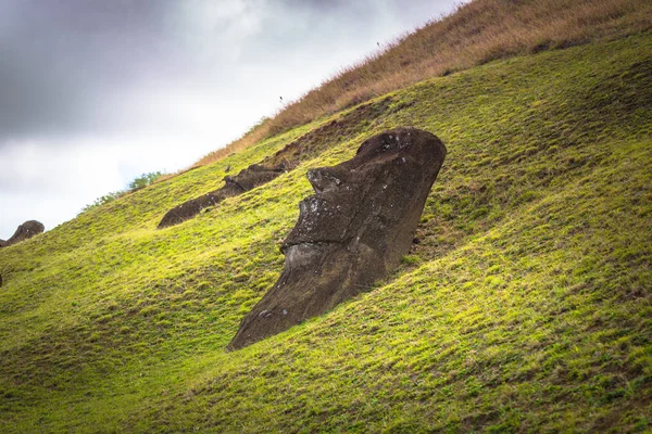 Ranu Raraku, Νήσος του Πάσχα - 10 Ιουλίου 2017: Moai Αγάλματα του Ranu — Φωτογραφία Αρχείου