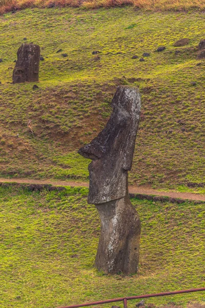Ranu Raraku, Easter Island - July 10, 2017: Moai statues of Ranu — Stock Photo, Image
