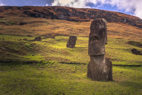 RANU Raraku, Paskalya Adası - 10 Temmuz 2017: Ranu Moai heykelleri