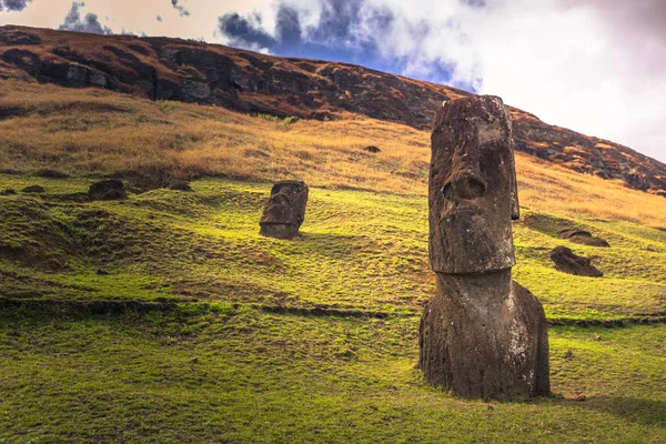 RANU Raraku, Paskalya Adası - 10 Temmuz 2017: Ranu Moai heykelleri