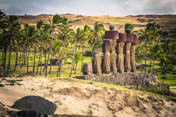 Anakena beach, Paskalya Adası - 10 Temmuz 2017: Moai sunak Anakena