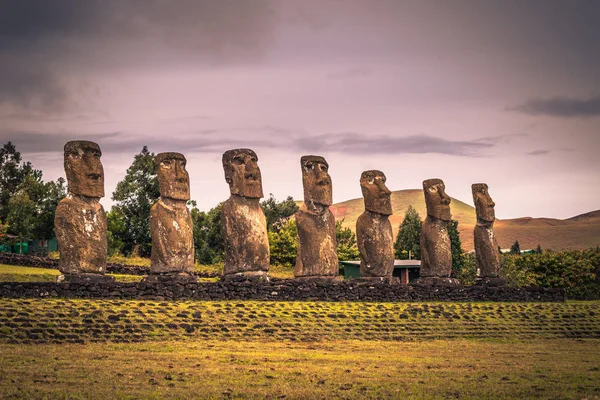 Ahu Akivi, Paskalya Adası - 11 Temmuz 2017: Ahu Akivi Moai altar