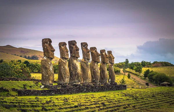 Ahu Akivi, Velikonoční ostrov - 11. července 2017: Oltář Moai na Ahu Akivi — Stock fotografie