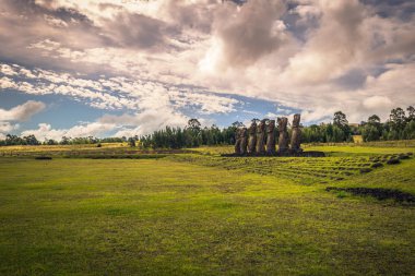 Ahu Akivi, Paskalya Adası - 12 Temmuz 2017: Ahu Akivi Moai heykelleri