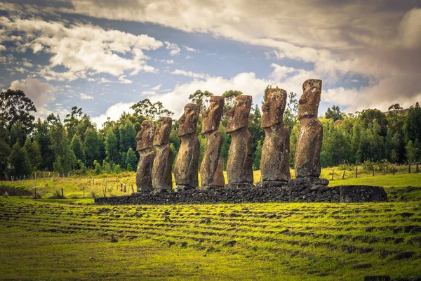 Άχου Akivi, Νήσος του Πάσχα - 12 Ιουλίου 2017: Moai Αγάλματα του Ahu Akivi — Φωτογραφία Αρχείου