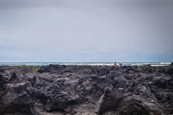 Islas Galápagos - 26 de agosto de 2017: Paisaje de la tunne de lava —  Fotos de Stock