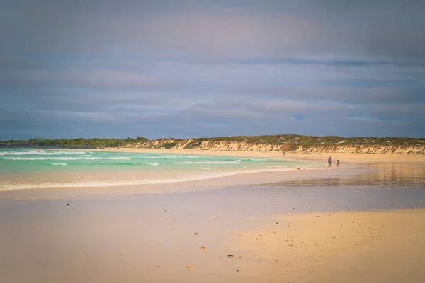 Galapagos Islands August 2017 Beach Tortuga Bay Santa Cruz Island — Stock Photo, Image