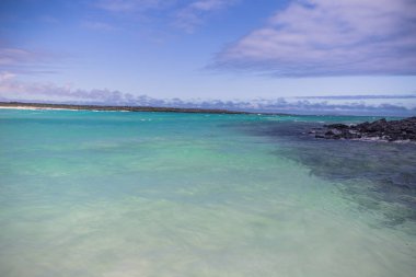 Galapagos Adaları - 23 Ağustos 2017: Coast Tortuga Bay San '