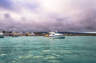 Galapagos Adaları - 23 Ağustos 2017: Harbor, Puerto Ayora Santa Cruz Island, Galapagos Adaları, Ekvador