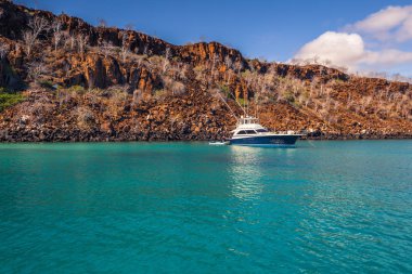 Galapagos Adaları - 24 Ağustos 2017: Plaza Sur sahil Adası, Galapagos Adaları, Ekvador