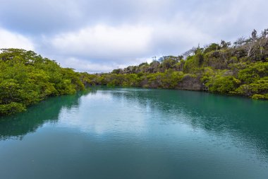 Galapagos Adaları - 24 Ağustos 2017: Peyzaj göl perileri Santa Cruz Island, Galapagos Adaları, Ekvador
