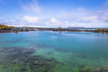 Galapagos Adaları - 25 Ağustos 2017: Concha Perla Lagoon Isabela Adası, Galapagos Adaları, Ekvador