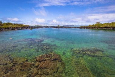 Galapagos Adaları - 25 Ağustos 2017: Concha Perla Lagoon Isabela Adası, Galapagos Adaları, Ekvador