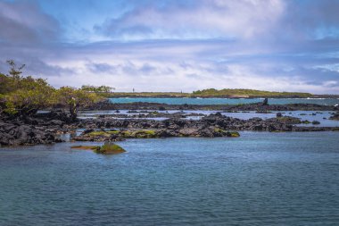 Galapagos Adaları - 25 Ağustos 2017: Concha Perla Lagoon Isabela Adası, Galapagos Adaları, Ekvador