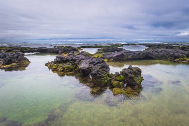 Galapagos Adaları - 26 Ağustos 2017: Peyzaj lav tünelleri Isabela Adası, Galapagos Adaları, Ekvador