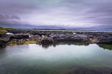 Galapagos Adaları - 26 Ağustos 2017: Peyzaj lav tünelleri Isabela Adası, Galapagos Adaları, Ekvador
