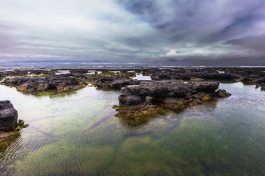 Galapagos Adaları - 26 Ağustos 2017: Peyzaj lav tünelleri Isabela Adası, Galapagos Adaları, Ekvador