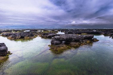 Galapagos Adaları - 26 Ağustos 2017: Peyzaj lav tünelleri Isabela Adası, Galapagos Adaları, Ekvador